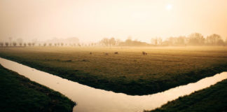 Le pompe per irrigazione e agricoltura al servizio di privati e aziende