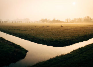 Le pompe per irrigazione e agricoltura al servizio di privati e aziende