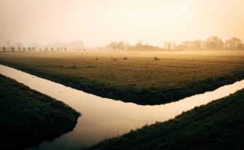 Le pompe per irrigazione e agricoltura al servizio di privati e aziende