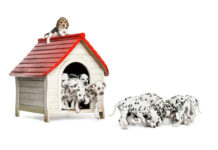 Scegliere la cuccia per il cane