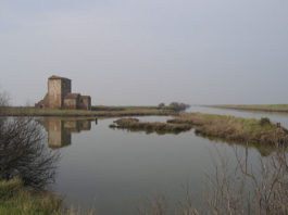 I migliori luoghi per il birdwatching in Italia