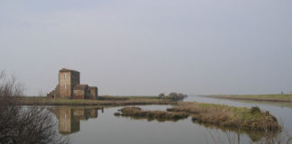 I migliori luoghi per il birdwatching in Italia