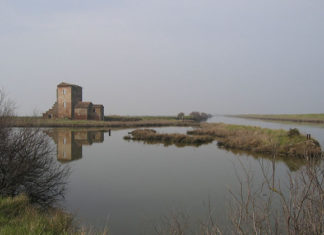 I migliori luoghi per il birdwatching in Italia