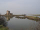 I migliori luoghi per il birdwatching in Italia