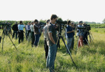 Chi organizza corsi di birdwatching in Italia