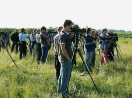 Chi organizza corsi di birdwatching in Italia
