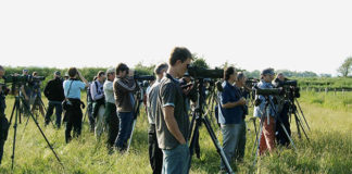 Chi organizza corsi di birdwatching in Italia