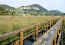 L’Oasi Lipu Massaciuccoli