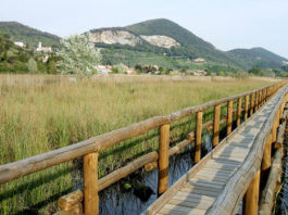 L’Oasi Lipu Massaciuccoli