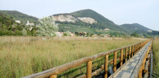 L’Oasi Lipu Massaciuccoli