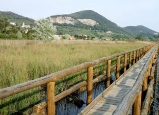 L’Oasi Lipu Massaciuccoli