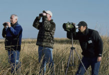 Guida e vestiario per chi inizia a fare birdwatching