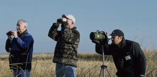 Guida e vestiario per chi inizia a fare birdwatching