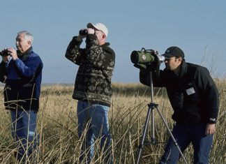 Guida e vestiario per chi inizia a fare birdwatching