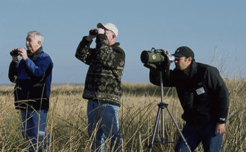 Guida e vestiario per chi inizia a fare birdwatching