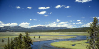 Yellowstone National Park