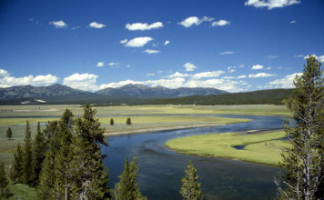 Yellowstone National Park