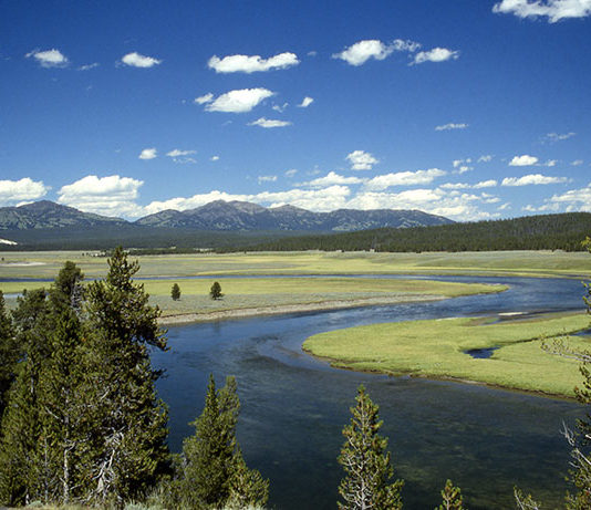 Yellowstone National Park