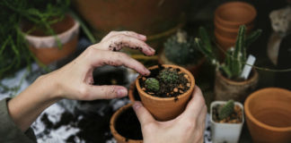 Hobby e Giardinaggio, le attrezzature consigliate