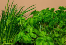Orto sul balcone, cosa piantare nel mese di marzo Orto sul balcone