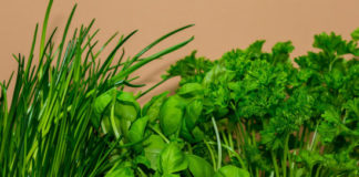 Orto sul balcone, cosa piantare nel mese di marzo Orto sul balcone