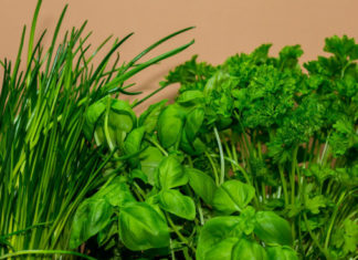 Orto sul balcone, cosa piantare nel mese di marzo Orto sul balcone