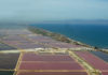 Le Saline di Margherita di Savoia