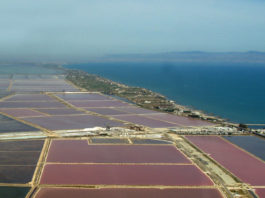Le Saline di Margherita di Savoia