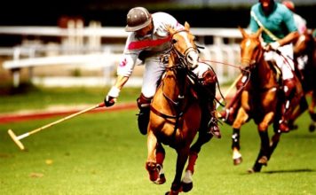 Polo 103 0 Polo