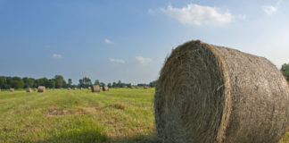 Campi nella fotografia 1070 0 Campi