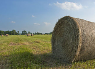 Campi nella fotografia 1070 0 Campi