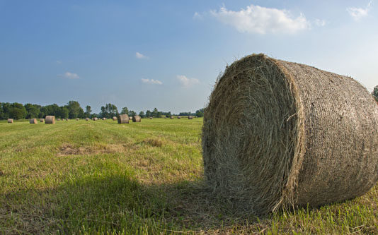 Campi nella fotografia 1070 0 Campi