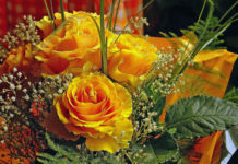 Federfiori di Vigevano 1143 0 federfiori di vigevano_ok