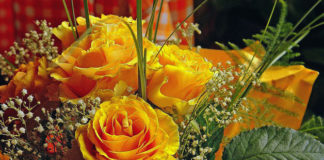 Federfiori di Vigevano 1143 0 federfiori di vigevano_ok