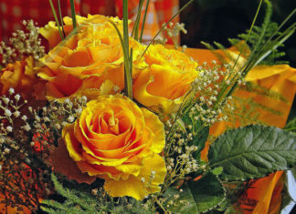 Federfiori di Vigevano 1143 0 federfiori di vigevano_ok