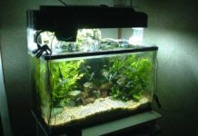 Oggetti per la pulizia dell’acquario 1156 0 Oggetti per la pulizia dellacquario