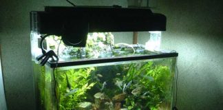 Oggetti per la pulizia dell’acquario 1156 0 Oggetti per la pulizia dellacquario