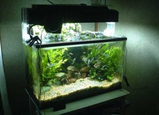 Oggetti per la pulizia dell’acquario 1156 0 Oggetti per la pulizia dellacquario