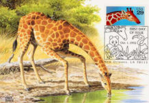 La maxifilatelia 1175 0 la maxifilatelia_ok