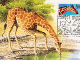 La maxifilatelia 1175 0 la maxifilatelia_ok