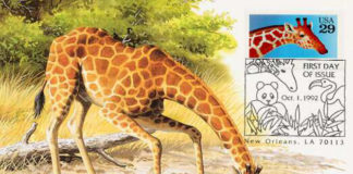 La maxifilatelia 1175 0 la maxifilatelia_ok