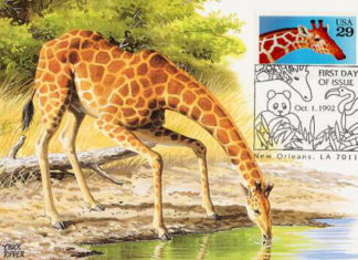 La maxifilatelia 1175 0 la maxifilatelia_ok