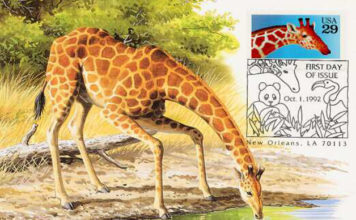 La maxifilatelia 1175 0 la maxifilatelia_ok