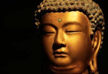 Biografie del Buddha 1183 0 Biografie del Buddha