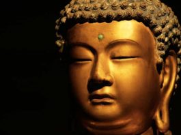 Biografie del Buddha 1183 0 Biografie del Buddha