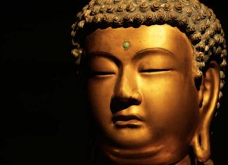 Biografie del Buddha 1183 0 Biografie del Buddha