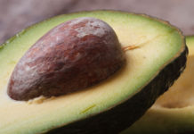 Avocado 119 0 avocado_ok