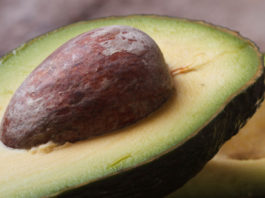 Avocado 119 0 avocado_ok
