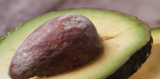 Avocado 119 0 avocado_ok