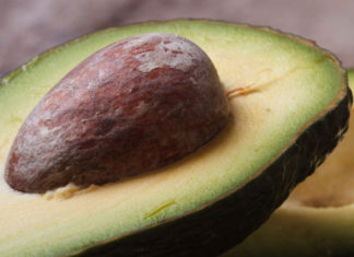 Avocado 119 0 avocado_ok